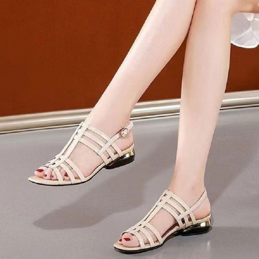 Casual Sports Women's Mid Heel Chunky Heel Sandals Oak