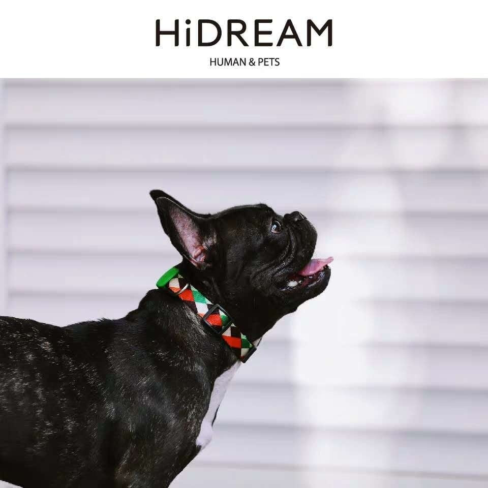 Half P Explosion-proof Collar Pet Traction Neckband