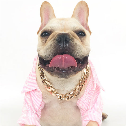 Dog Gold Color Chain Chain Buckle Small And Medium Size Dog Collar Pet Necklace Ornament
