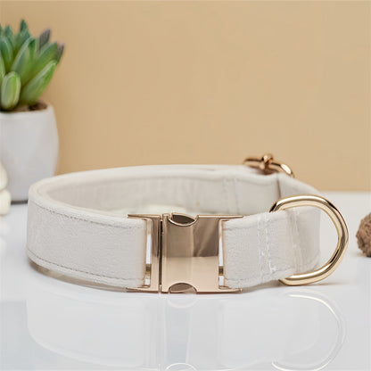 Solid Color Simple Pet Dog Collar Hand Holding Rope